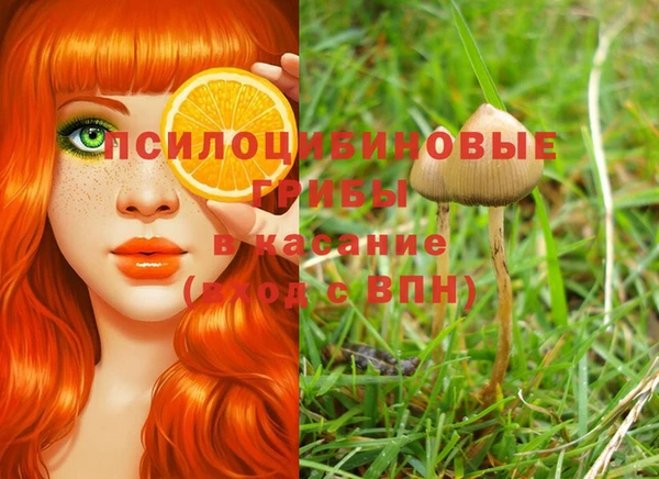 гидропоника Белоозёрский